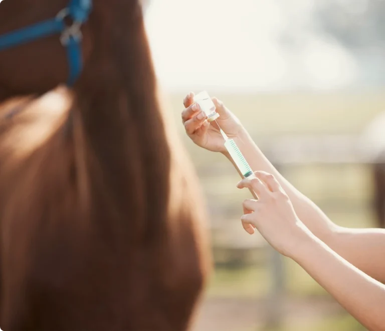 Veterinär Hedemora förbereder spruta inför behandling av häst.